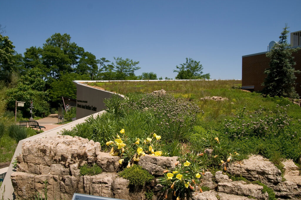 0417.00-Green Roof-05